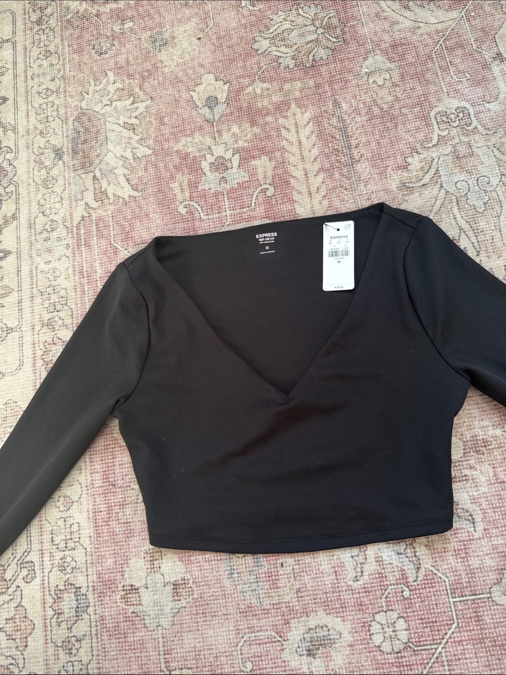 Express Black V-Neck Long Sleeve Crop Top